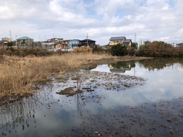 或る小池