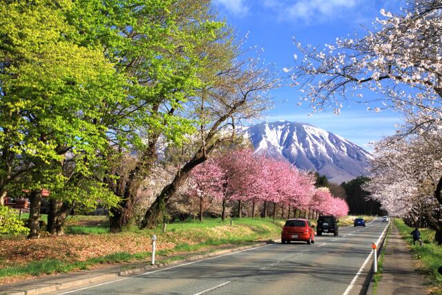 春の小岩井農場