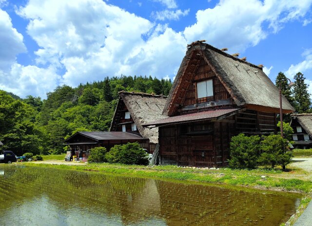 新緑の白川郷