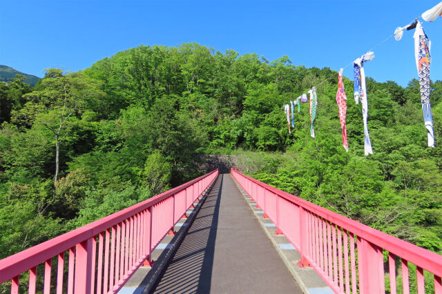 谷に架かる歩道橋