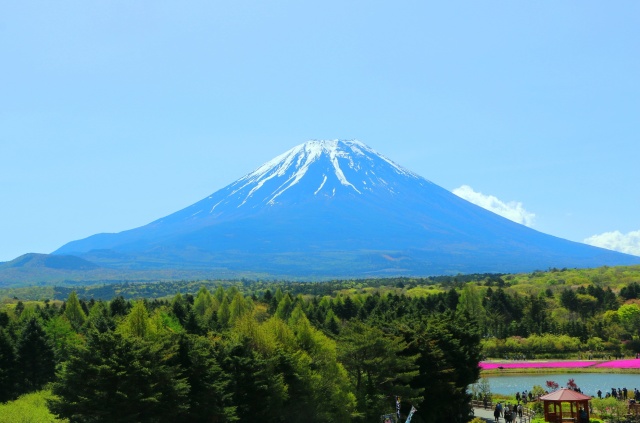 新緑と富士山