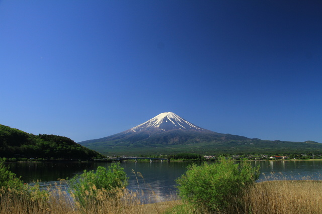 春の河口湖