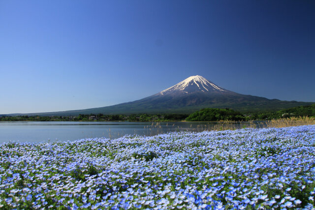 大石公園の風景