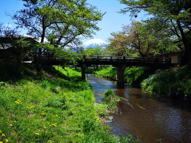 新緑の忍野八海