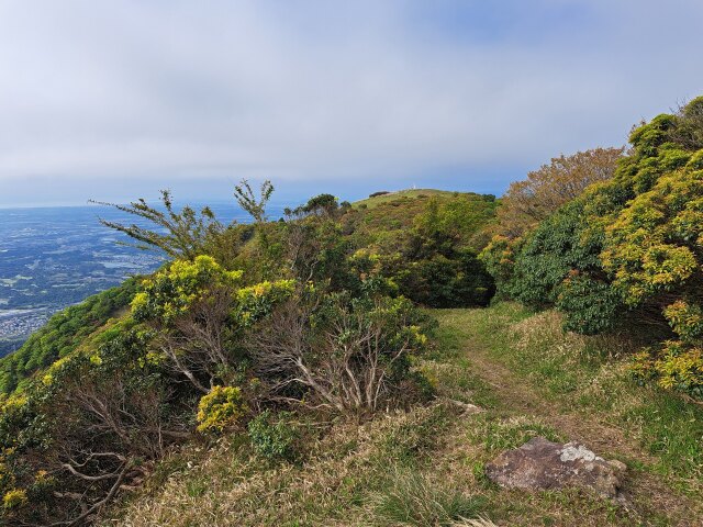 あれは入道ヶ岳の山頂