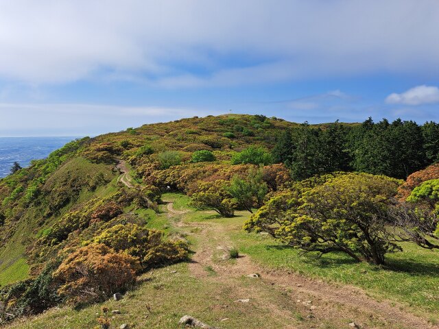 入道ヶ岳登頂あと少し