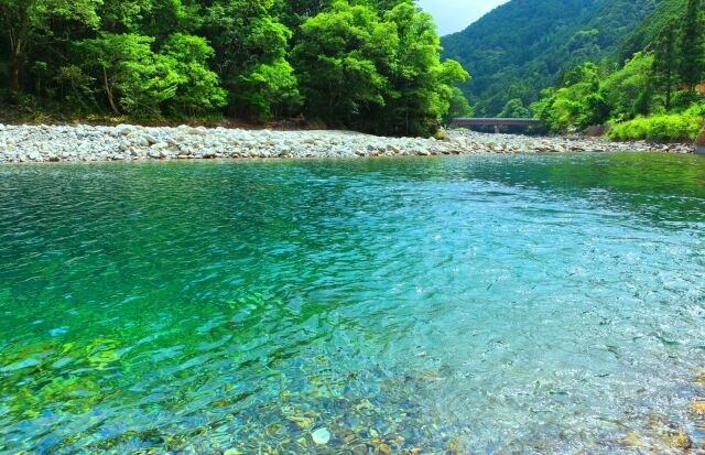 新緑と清流銚子川