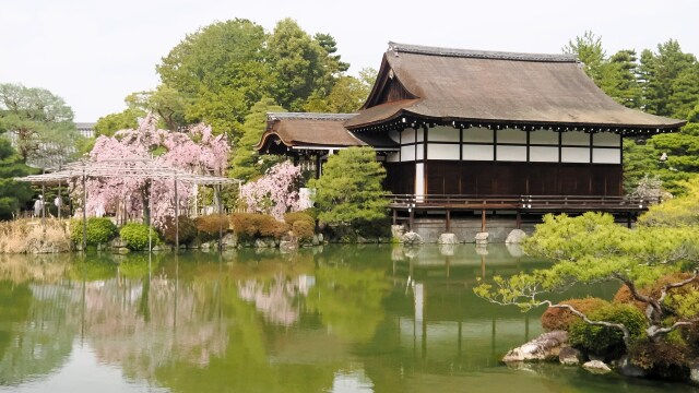 春の平安神宮