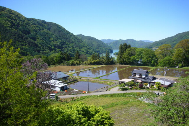 田植えの頃