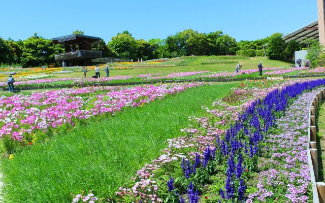 新緑のお花畑