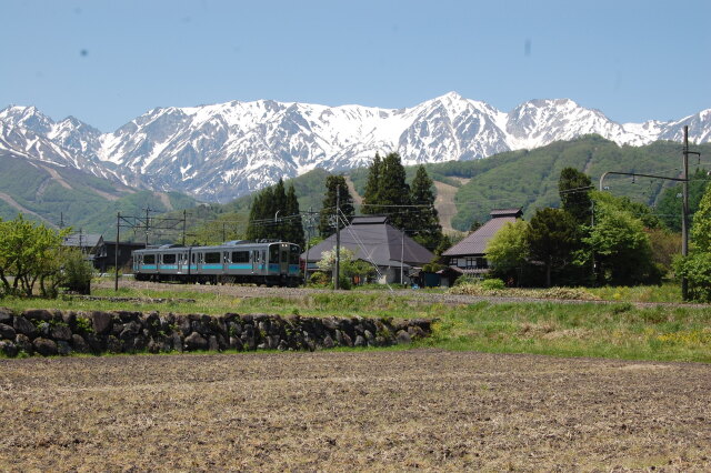 電車が来ました 2024年