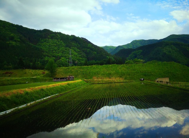 新緑の里山