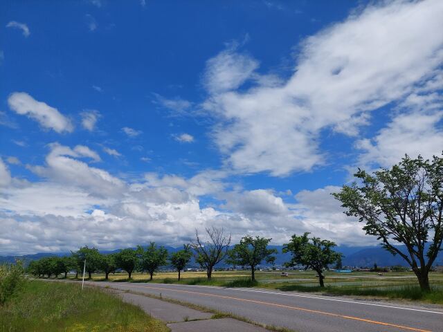 晴天の梓川横の路線