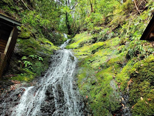 新緑の熊野古道の滝