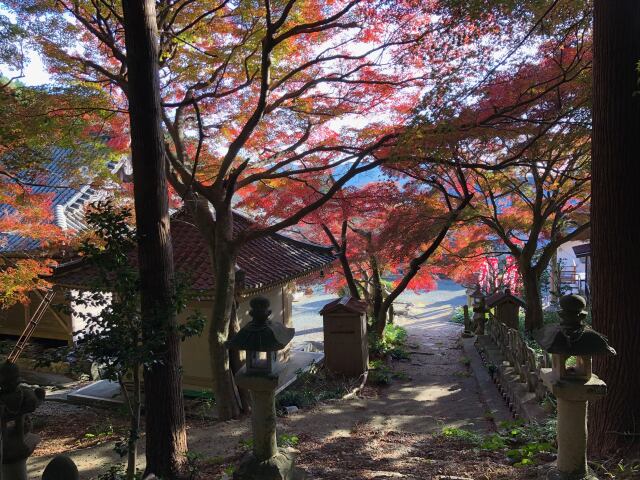 紅葉のお寺