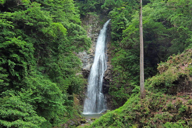 滝 初夏