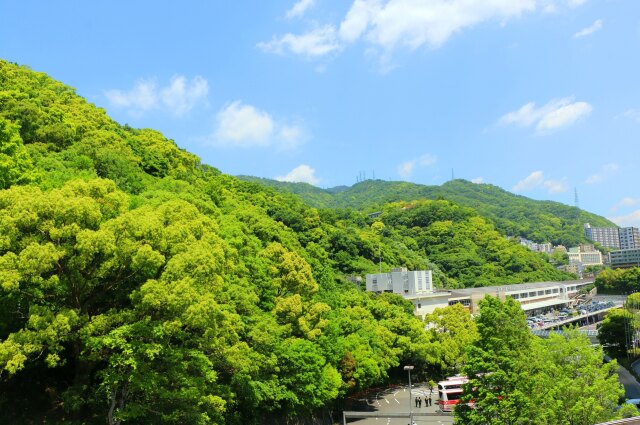 新緑の新神戸駅