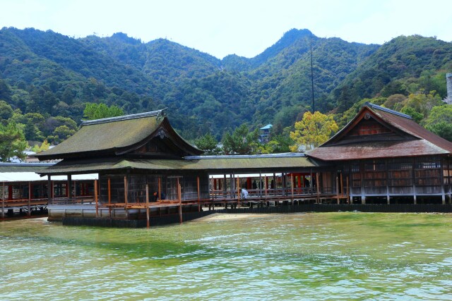 新緑の厳島神社