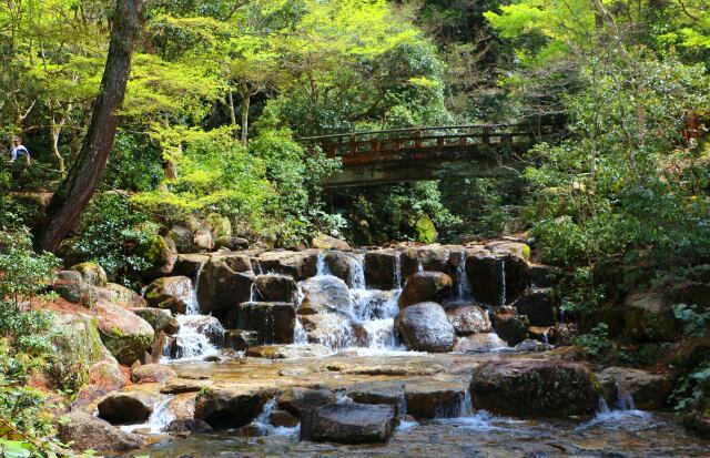 新緑の宮島紅葉谷公園