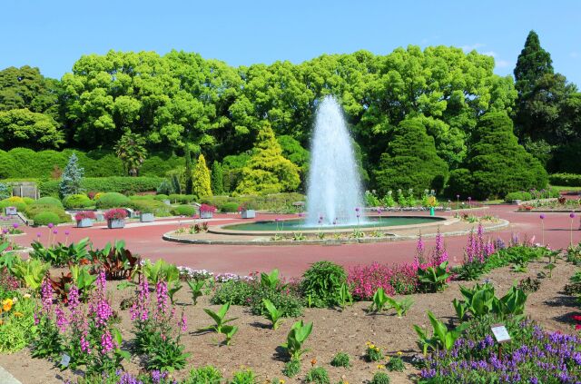 新緑の京都府立植物園