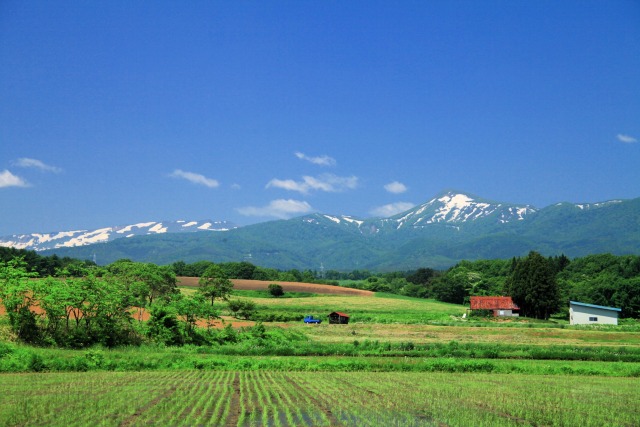 のどかな田舎風景