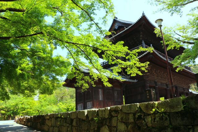 新緑の南禅寺