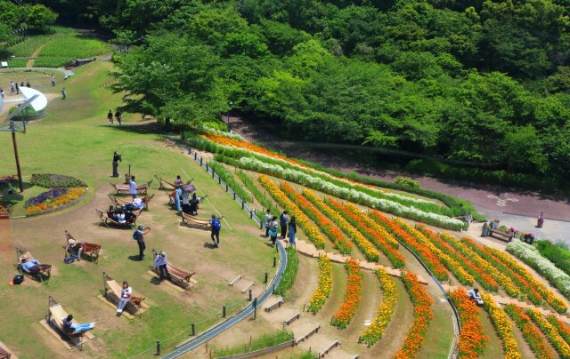 新緑の布引ハーブ園