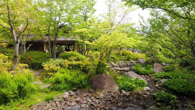 春の昭和記念公園