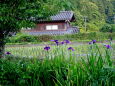 里に田植えの季節