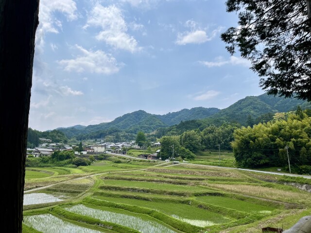 西山の棚田2