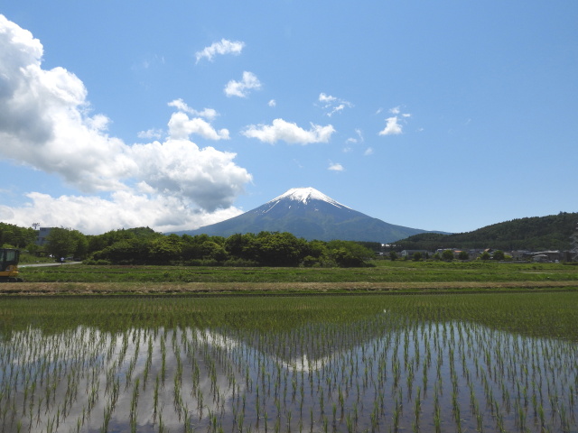 田んぼの逆さ富士