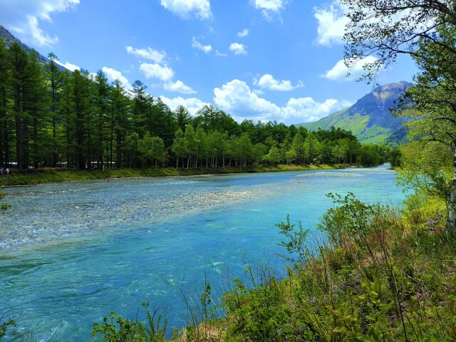 新緑の上高地梓川