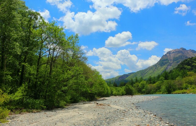 6月の焼岳