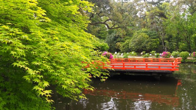 春の万葉植物園