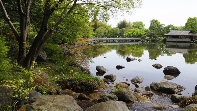 春の昭和記念公園