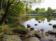 春の昭和記念公園