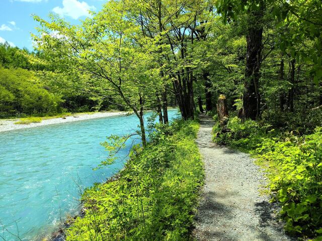 新緑の散歩道