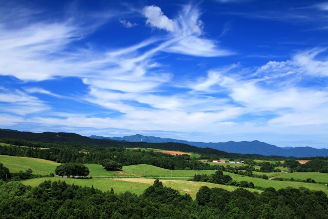 夏の牧場