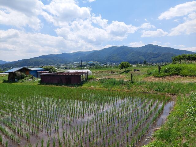 スイカの産地、下原