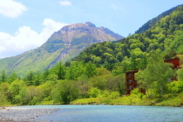 6月の焼岳