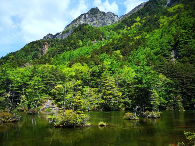 初夏の明神池