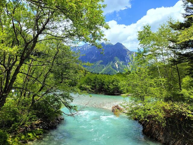 初夏の上高地の清流