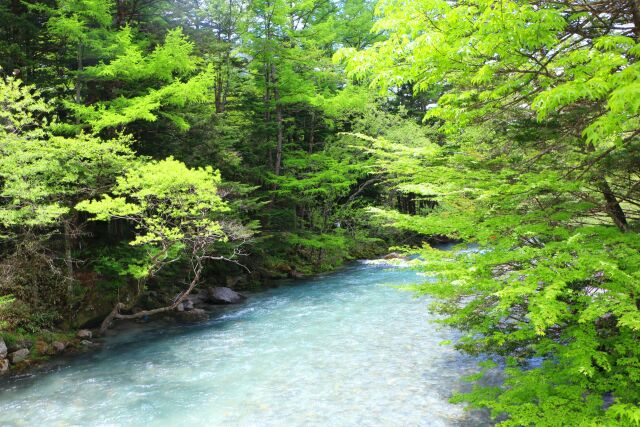 初夏の清流