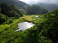 山間部の小さな湿原