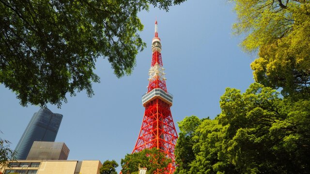 芝公園の新緑と東京タワー