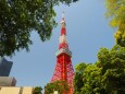 芝公園の新緑と東京タワー