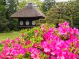 春の万葉植物園