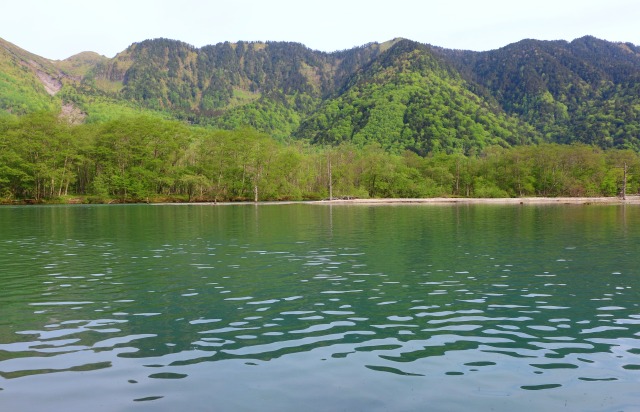 初夏の大正池