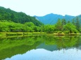 初夏の水辺