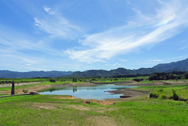 大山池 夏